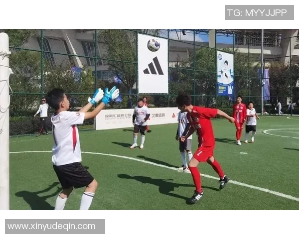 在绿茵场上奔跑的快乐与挑战踢足球的真实感受分享